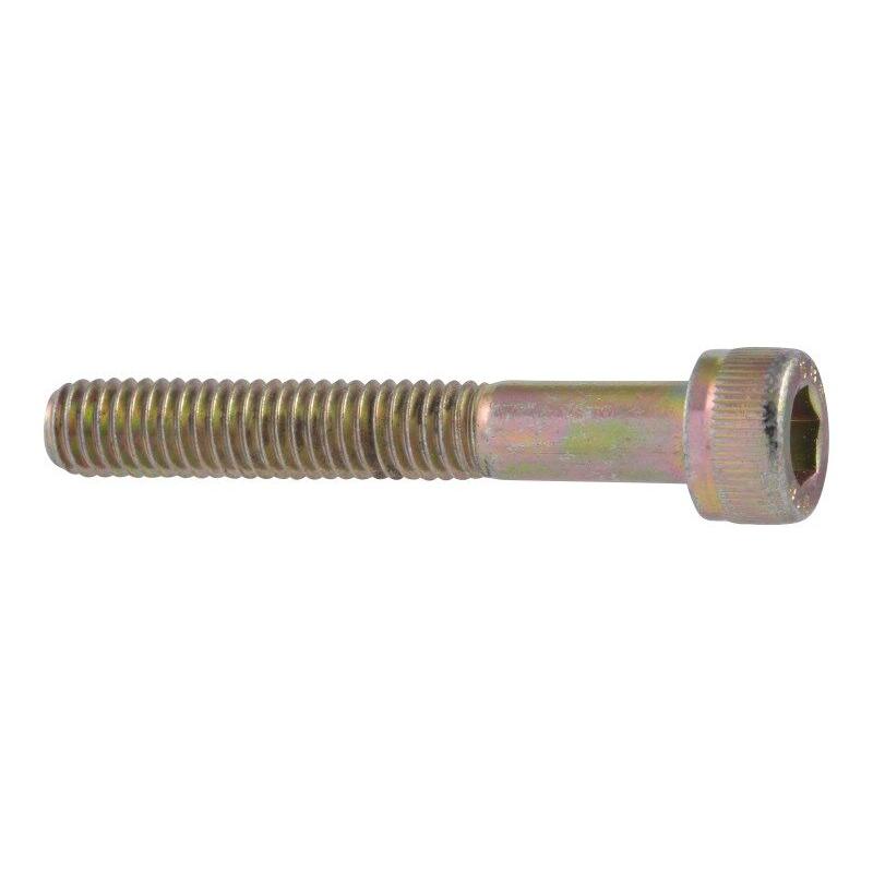 JLG Part # 000017 - M06-040 GR8.8 SOCK HD CAPSCREW