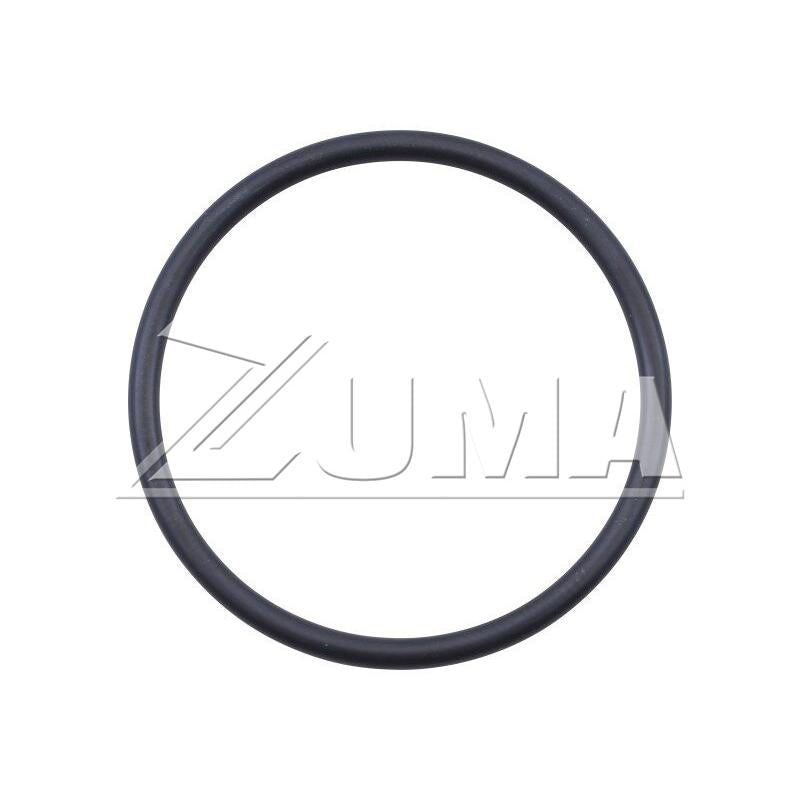 JLG Part # 04103380 - DTZ-O-RING. FUEL INJECTION PUMP