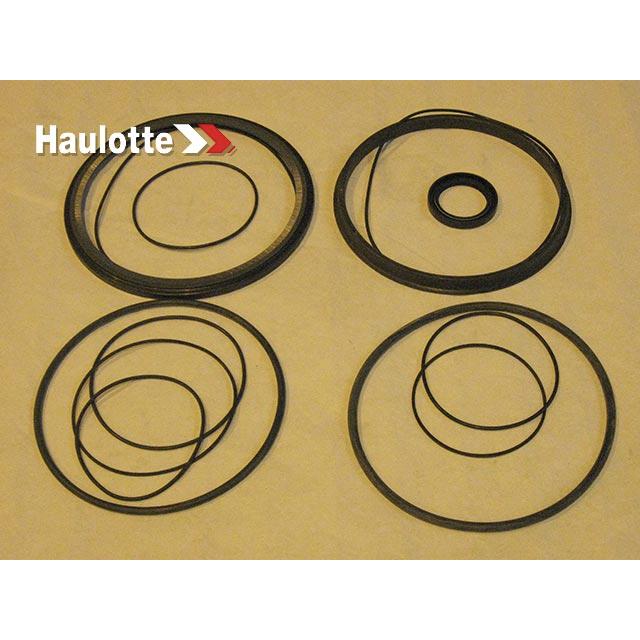 Haulotte Part # 2421692440 - PACK / REDUCER SEALS CTD205