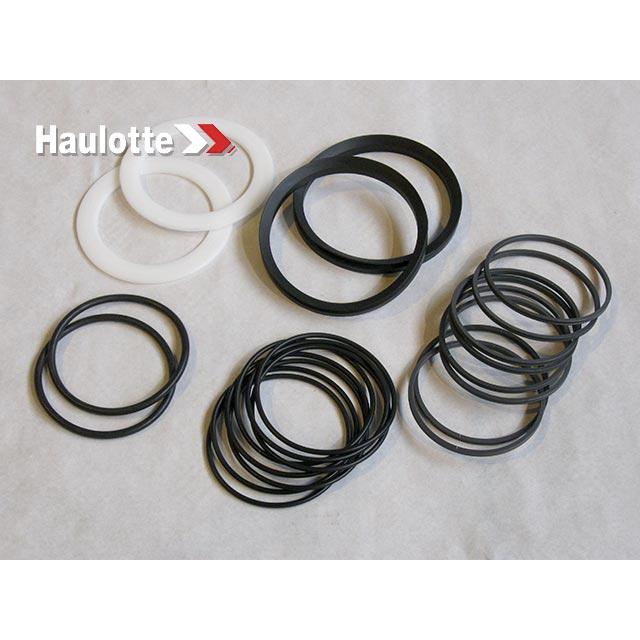 Haulotte Part # 2421693810 - PACK / SEALS FOR REVOLVING JOINT