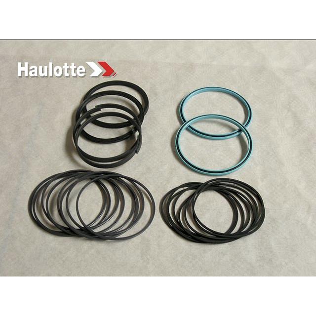 Haulotte Part # 2505007480 - SEALS KIT