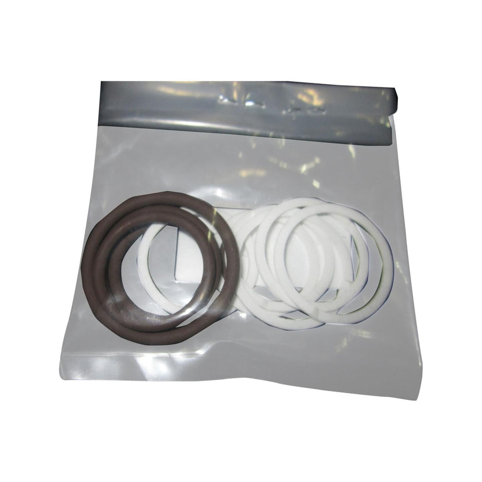 JLG Part # 7021625 - KIT. SEAL - FLUOROCARBON/VITON